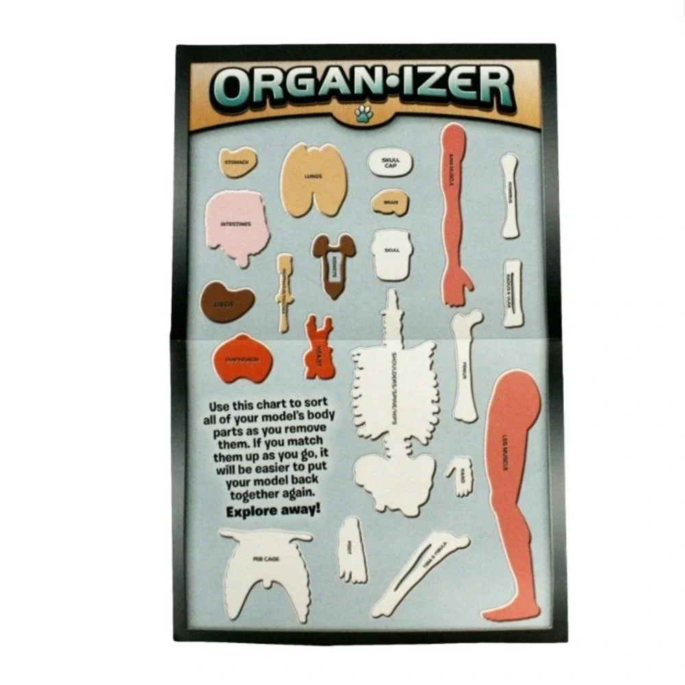 SmartLab Toys Squishy Human Body‎ 29 Piece Anatomy Model Kit with 24 Page Book